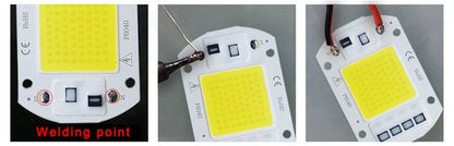 LED Chip COB lamp 10W 20W 30W 50W AC 220V 240V IP65 Smart IC No Need Driver DIY Flood light Led Bulb Spotlight Outdoor Lamp bead